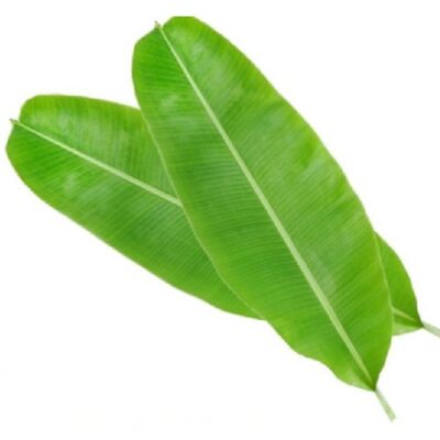 LÁ CHUỐI đông lạnh 454gr