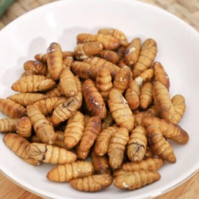 CON NHỘNG TẰM 1KG